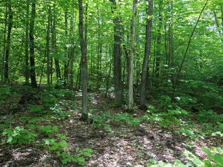 Lot #2 Ridge Rd, Ashland, NH 03217