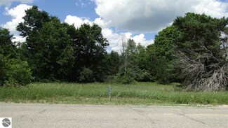 1717 W Sharon Rd SE, Fife Lake, MI 49633