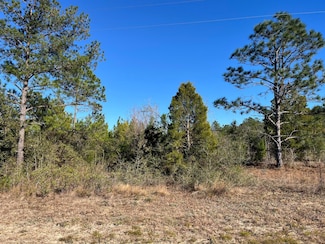 TBD Fairview, Marianna, FL 32448