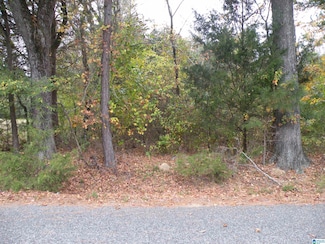 0 Fulton Gap Rd, Sylacauga, AL 35150