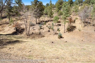 448 Flume Canyon Dr, Ruidoso, NM 88345