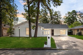 5030 Hollybrook Ln, Houston, TX 77039