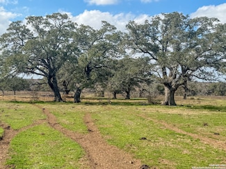 3113 Hannessee Rd, Yoakum, TX 77995