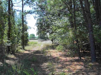 TBD Gabor Ln, Hot Springs, AR 71913