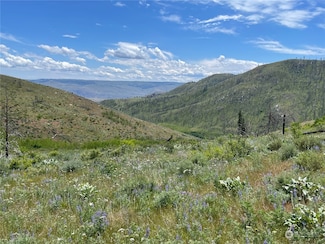 436 Antoine Creek Rd Unit Lot E, Chelan, WA 98816