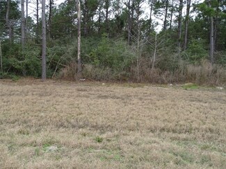 15649 Forest Grove Dr, Willis, TX 77378