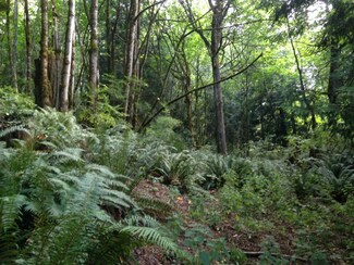 0 W Valley Rd, ChiMacUm, WA 98325