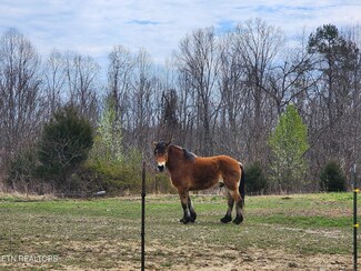 16.09 Ac. Crockett Cemetery Rd, Jamestown, TN 38556