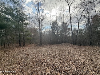 0 10 77 Acres - Valerie Dr, Deer Lodge, TN 37726