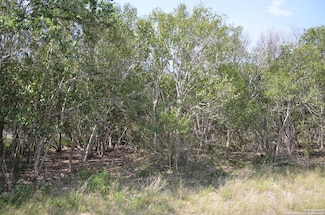 025 Wesp Way, San Antonio, TX 78233