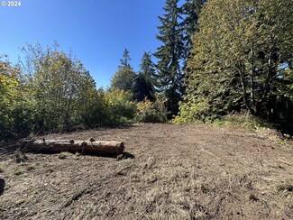 0 N Minor Rd Unit Lot 1 24305861, Kelso, WA 98626