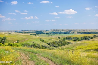 Tbd 60th Ave SW, Leith, ND 58529