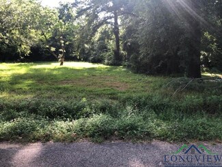 1104 Hutchings Blvd, Longview, TX 75602
