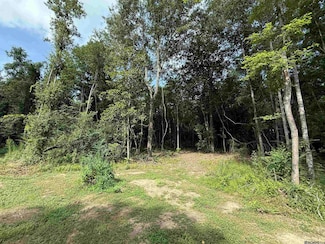 00 Montgomery Rd, Summit, MS 39666