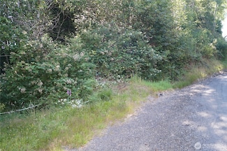 0 NKA Bigelow Dr, Aberdeen, WA 98520