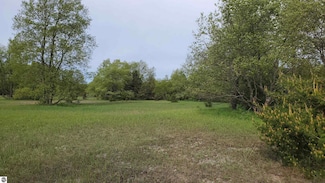 00 S Pioneer Rd, Thompsonville, MI 49683