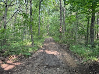 0 Coffman Rd Unit Lot WP003 23890361, Farmington, MO 63640