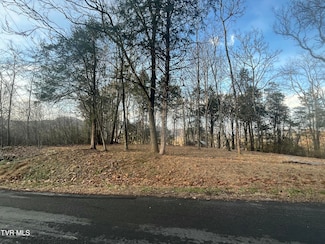 Tbd Hill Station Alley Rd, Gate City, VA 24251