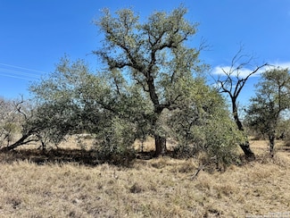 TBD Fm 2441, Beeville, TX 78102