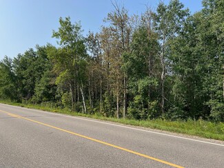 TBD County 36, Bemidji, MN 56601