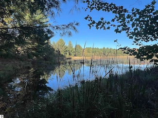 7556 210th Ave, Reed City, MI 49677