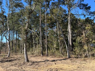 0 Creel Rd Unit 23965088, Theodore, AL 36582