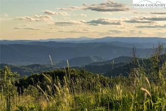 000 Swaringen Rd, Traphill, NC 28685