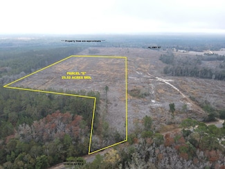 25 acres Goat Hill Rd, Samson, AL 36477