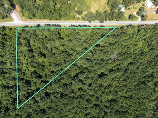 1.3 Williams Rd, Defuniak Springs, FL 32433