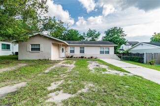 7021 Allview Dr, Tampa, FL 33637
