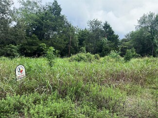 1952 Skrivanek Rd, Sealy, TX 77474