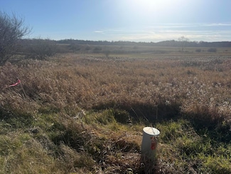 18 Mile Rd, Big Rapids, MI 49307