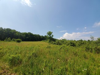 0 Pleasant Valley Rd Unit PWB202425, Starrucca, PA 18462