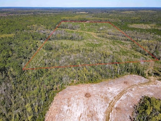 000 SW Mount Gilead Rd, Greenville, FL 32331