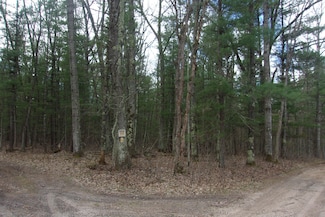 20 Acres E Koenig Rd, Free Soil, MI 49411