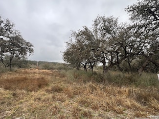 LOT 181 Valley Oaks Ranch Phase 2, Hondo, TX 78861