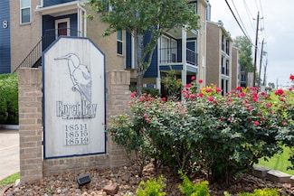 18515 Egret Bay Blvd Unit 803, Houston, TX 77058