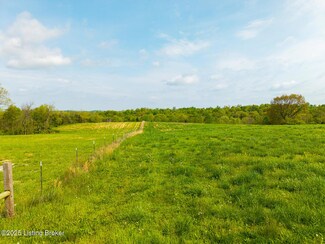 434 Mount Pleasant Rd, Bedford, KY 40006