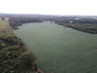 1074 County Road 125, Town Creek, AL 35672