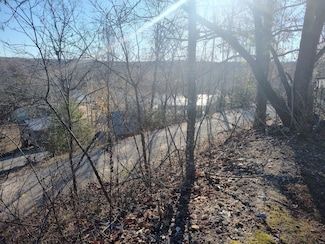 0 Maries Road 325, Jackson Township, MO 65582