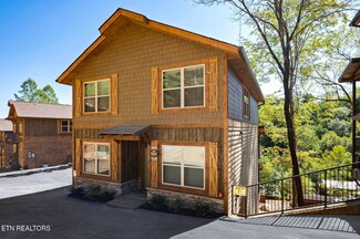 3029 Ridge Top Resort Way, Pigeon Forge, TN 37863