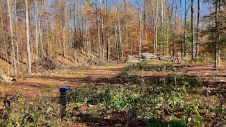 00 Lower Middle Rd, Chittenden, VT 05737