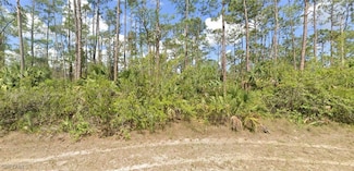 254 Lakeridge Blvd, Lehigh Acres, FL 33972