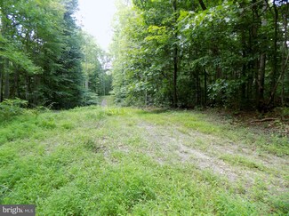 0 Frogtown Rd Unit 1002139094, Boyce, VA 22620