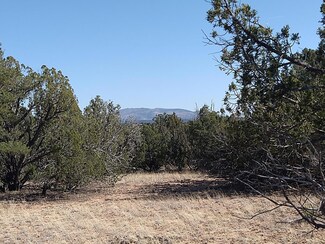 0 B0 88 Unit 1034837, Willard, NM 87063