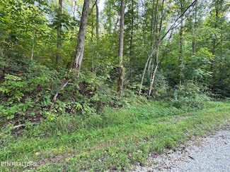 0 Roe(tract 5) Ln Unit 1274316, Winfield, TN 37892