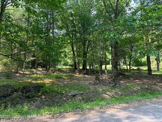 224 Lake Ln, Tobyhanna Township, PA 18347