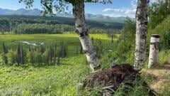 9320 S Cache Creek Dr, Trapper Creek, AK 99683