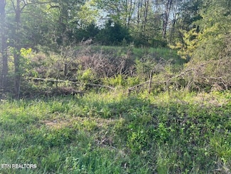 0 Vardy Blackwater Rd, Sneedville, TN 37869