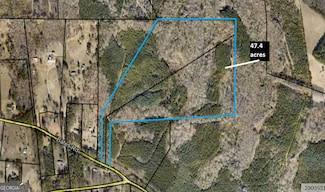 TRACT 6 & 7 Bates Rd (47 4acs), Concord, GA 30206